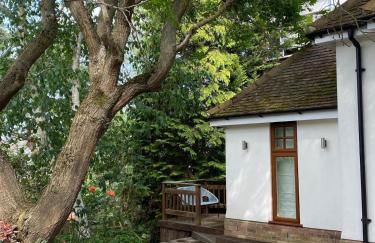 Primrose Lodge in Maldon - Foto 7