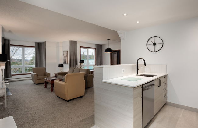 Sommet des Neiges - Foto 17