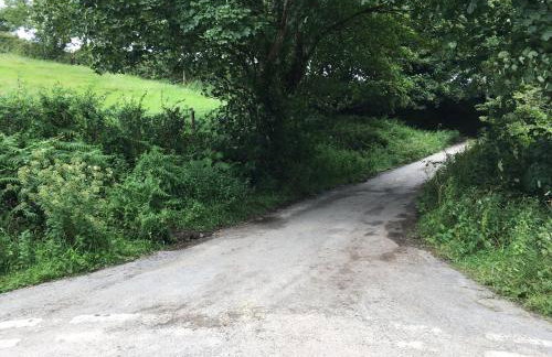 Higher Trewithen - Photo 57