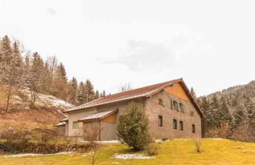 Grande maison au cœur des Vosges, escapades et nature - FR-1-583-466 - Foto 5