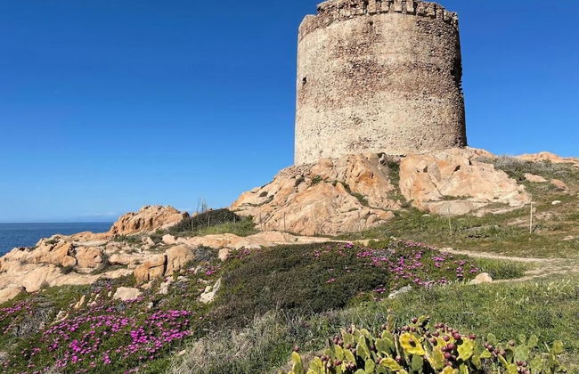 Casa I Corbezzoli - Paduledda - Isola Rossa - Foto 47