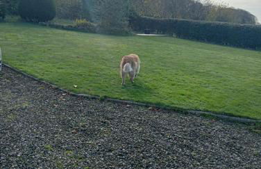 Larch Cottage Ruston with hot tub, dogs go free - Foto 33