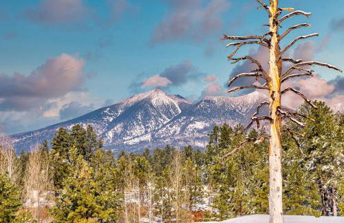 New Flagstaff Adventure Getaway - Foto 29