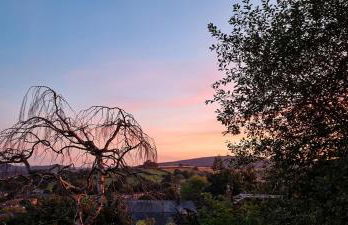 The Castle Hotel - Foto 45