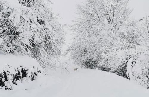 CASA TABLADO HELENA - Foto 48
