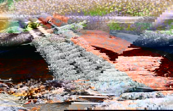 Vinte-Quinta da Boavista - Photo 40