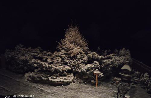 Miły Domek Sasino - Foto 20