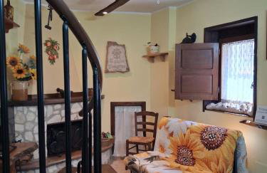 Il girasole - Foto 5