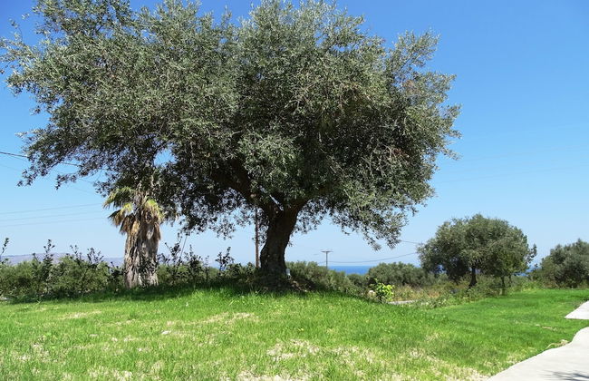 Lyrids Apartments - Photo 131