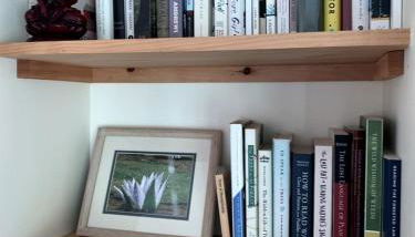 Gorgeous Cottage for Two, Overlooking Pond on 20 acres, Glamping in Pennsylvania - Foto 5