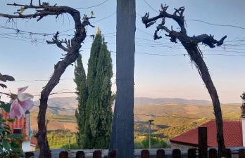 Casa da Muralha - Foto 6