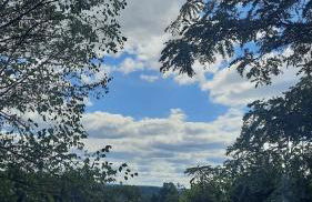 Rutland Hill Farmhouse - Foto 51