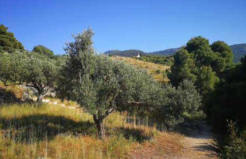 Vukotić Beach house - Foto 75