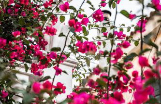 Dioni, Central Luxury Apartment - Foto 23