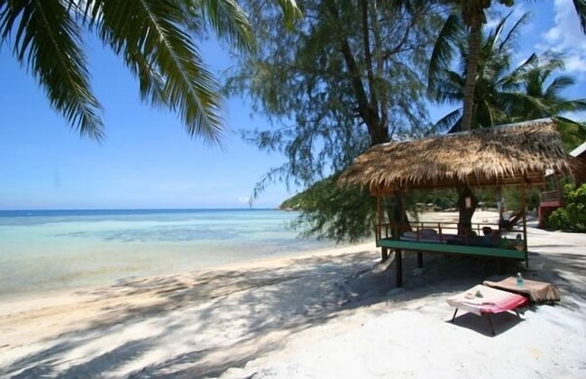 Salad Villa - Foto 44