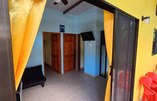 Caribbean Blue Morpho - Foto 7