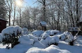 Spreewald Haus Boche - Foto 26