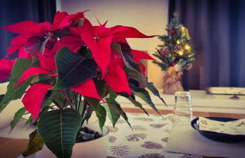 Apartment Hannover - Langenhagen center - Foto 31