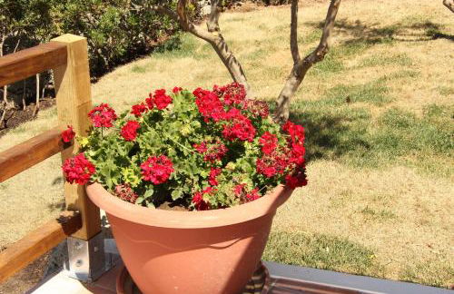 Résidence Villa Smeralda - Foto 71