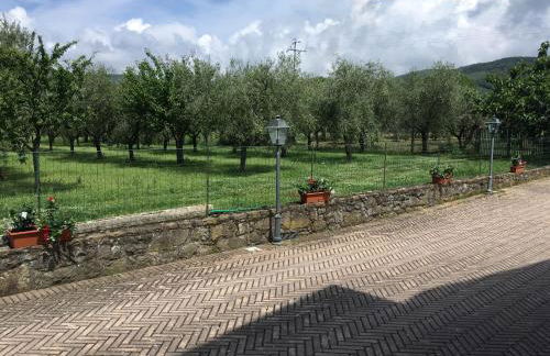 Le Coccole Del Trasimeno - Foto 74