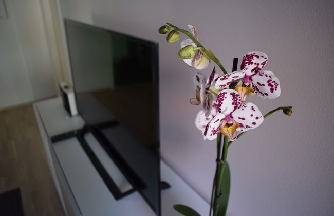 DP Apartments Vaasa - Foto 10