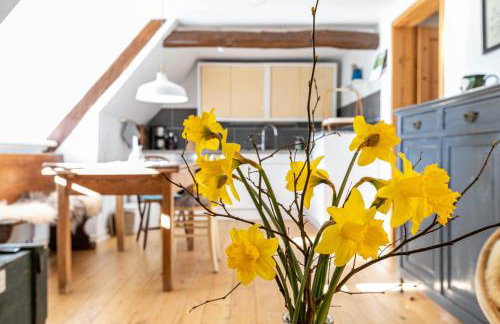 Reetdachhof Familie Dührsen - Photo 13