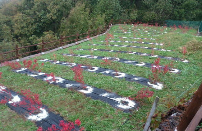 Agriturismo da Ysy - Foto 36