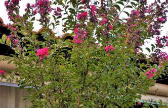 Estilo luxury apartment - Photo 38