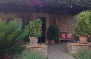 Ses llimoneres - Foto 48