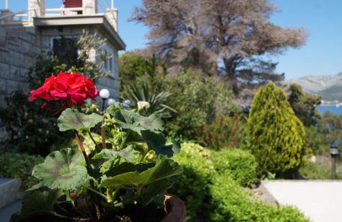 Apartments Mirna - Foto 19