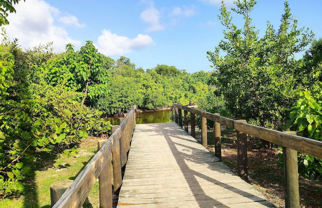 Beachfront Studios - Photo 31