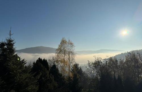 Dom w górach Saganówka Beskidy - Foto 72