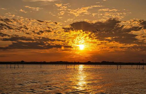 CICHAta Nad Zatoką - Foto 23