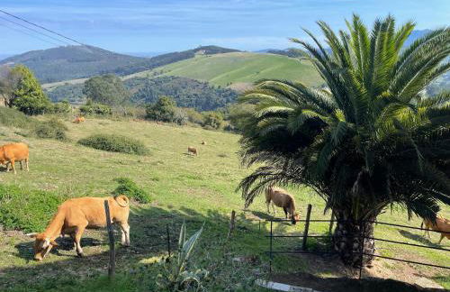 Alojamientos Rurales Peña Crespa - Foto 30