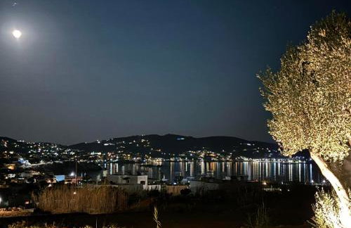 Petra Lodge - Photo 7