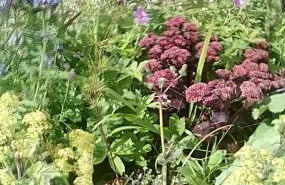 Scorrabrae Orphir Mainland Orkney South Shore Retreat - Photo 77