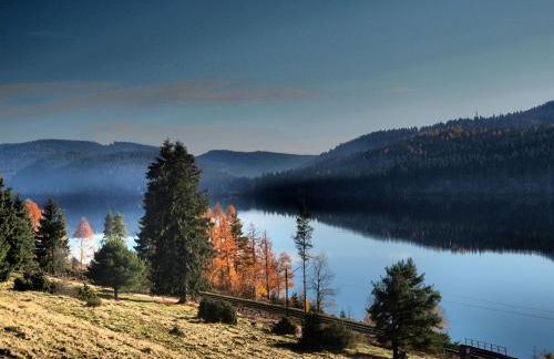 Biber Lodge - Foto 20