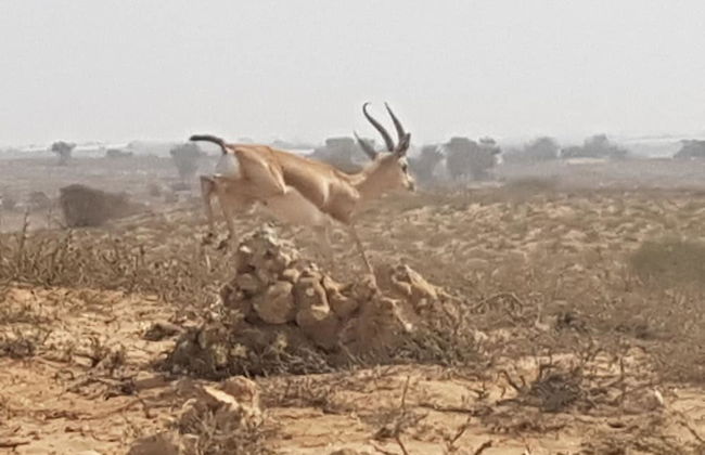 Le Jardin aux Etoiles - Foto 76