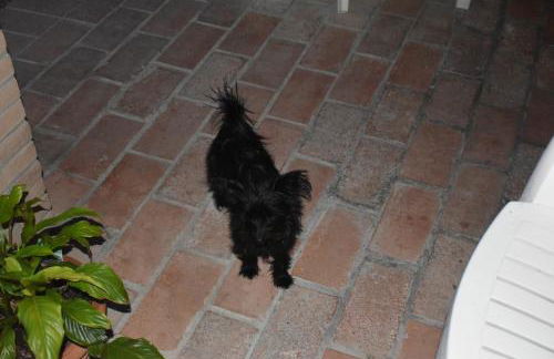 Casa Nolè - Foto 29