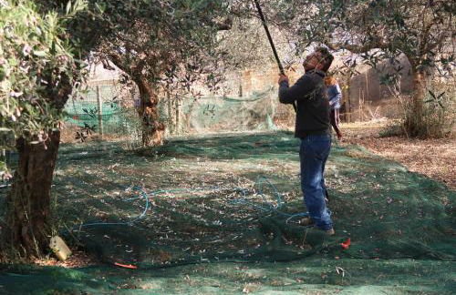 VILLA MILLEFIORI - Foto 60