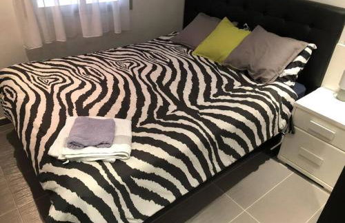 Elche Piso Entero 3 Dormitorios Dobles - Foto 11