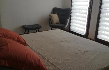 Le GINGKO ZEN EPINAL - Foto 5