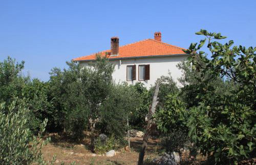 Apartments by the sea Ugljan - 8264 - Foto 4