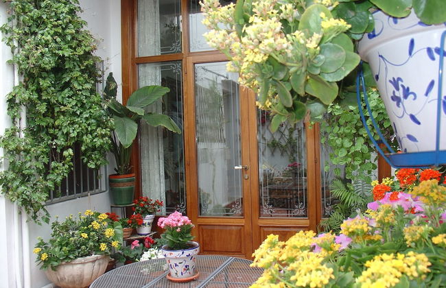 Typical Valencian House. Modernist Style. Recommended for Families - Foto 8