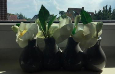 FeWo Wiesenweg - Foto 7