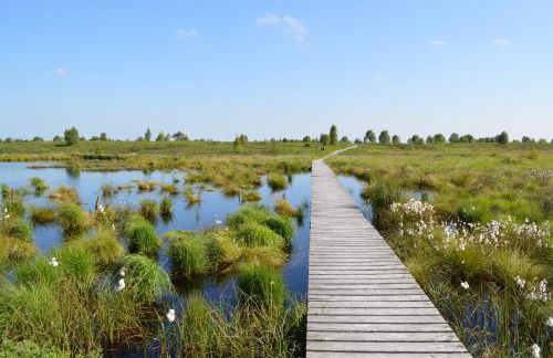 Ferienhaus Kirschblüte - Foto 48