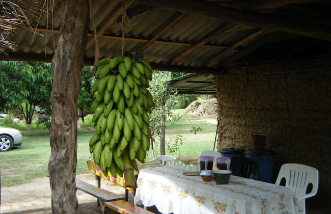 Tour gastronómico por Huatulco - Foto 8