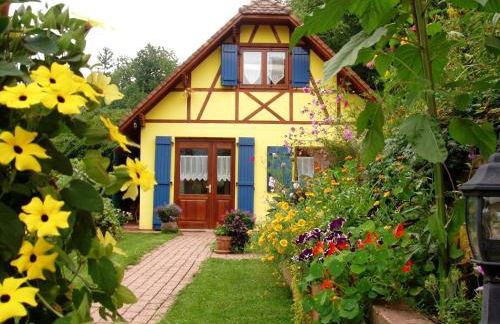 Gite en Alsace - Foto 16