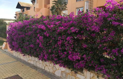 Meerblick Casares del Sol - Foto 37