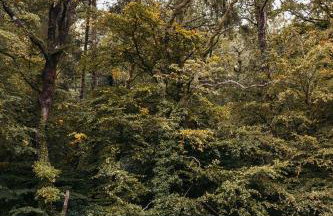 Fox Tor Apartment - Foto 21